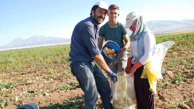 Niğde'de kilosu 25 liradan satılan patates, üreticinin yüzünü güldürdü