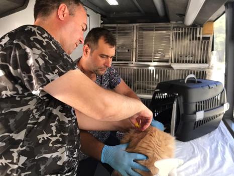 Can Dost Yerinde Hayvan Bakım ve Tedavi Aracı, Balıkesir'de 20 ilçeyi gezecek
