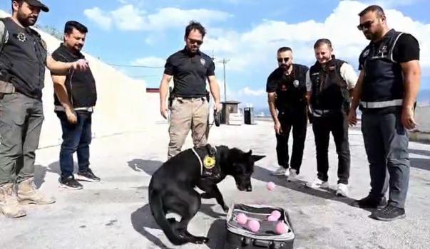 Emekli olan narkotik köpeği Naz'a duygulandıran veda