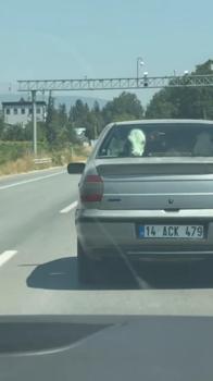 Buzağıyı otomobilin arka koltuğunda taşıdılar