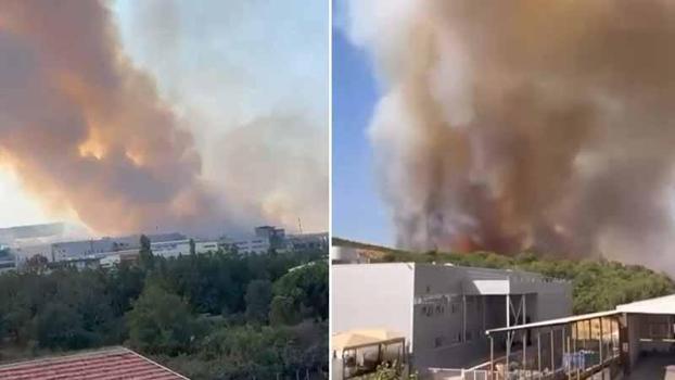 Bursa’da orman yangını