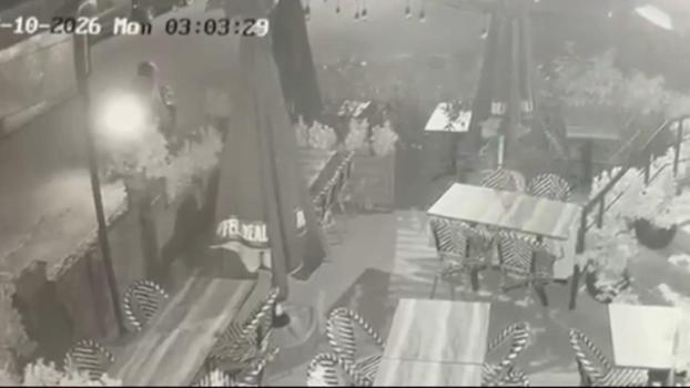 Kartal'da haraç için şirkete el bombası atan şüpheliler yakalandı