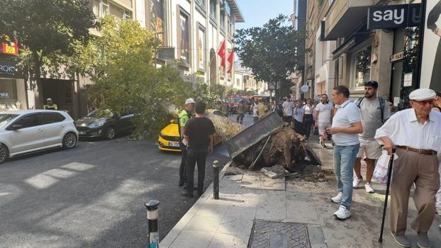 ÅžiÅŸli’de aÄŸaç devrildi; yol trafiÄŸe kapandı