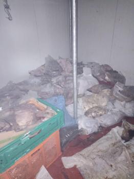 Bodrum’da 400 kilo bozuk ete el konuldu