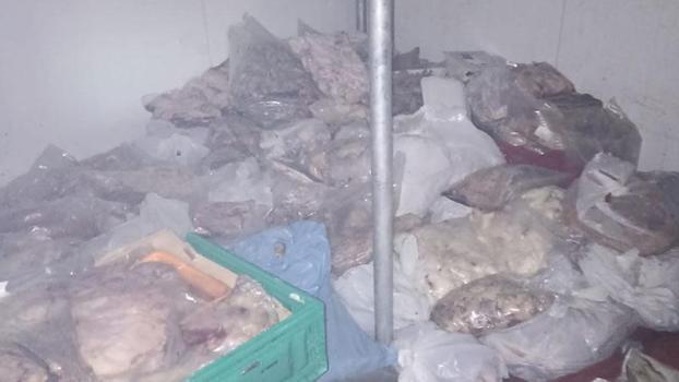 Bodrum’da 400 kilo bozuk ete el konuldu