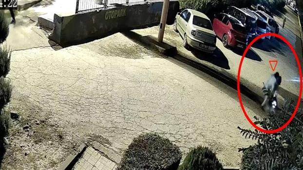Eşini öldürdükten sonra çocuğunu alıp kaçan şüpheli adliyede