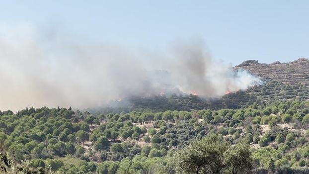 İzmir'de orman yangını