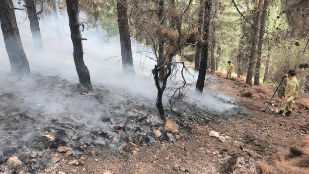 Kahramanmaraş'ta orman yangını / Ek fotoğraflar