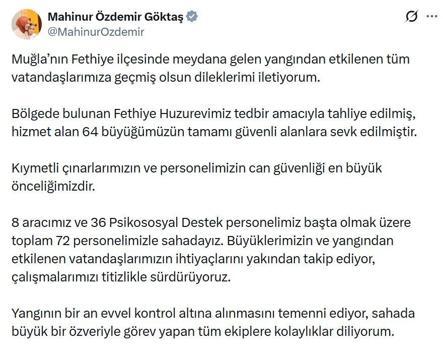 Muğla’da orman yangını (3)