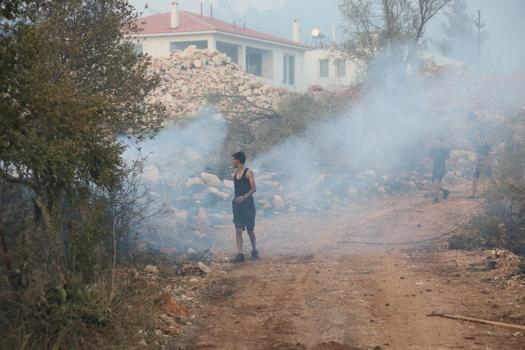 Seydikemer'de tarım arazisinde çıkan yangın, Kaş'ta ormana sıçradı / Ek fotoğraflar