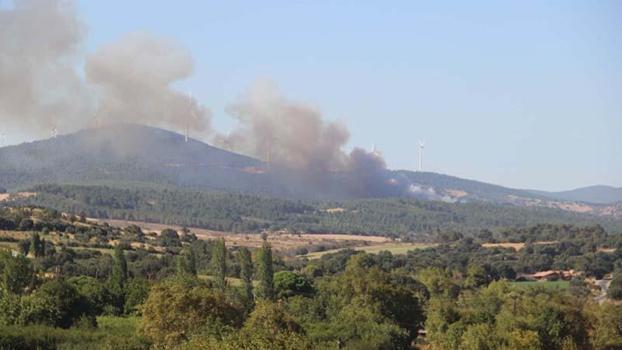Çanakkale'de orman yangını