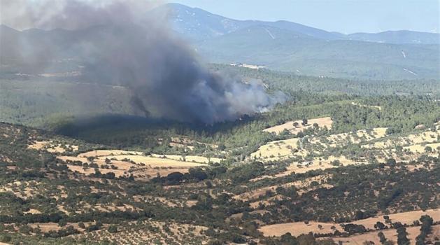 Çanakkale’de orman yangını (2)