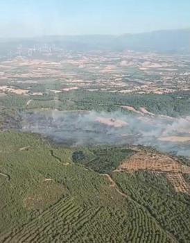 Çanakkale’de orman yangını (3)