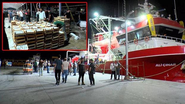 Gürpınar Balık Hali'nde balıkçılar avdan döndü: Bu sene palamut bol