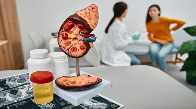 ‘Böbrek kanseri çoğu zaman sessiz ilerliyor’