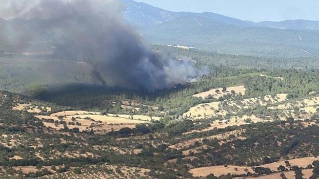 Çanakkale'deki orman yangınında 8 hektar alan zarar gördü