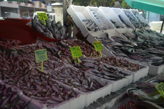 Rize’de sezonun ilk balıkları tezgahtaki yerlerini aldı
