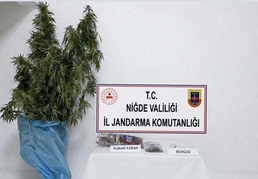 Bor’da uyuşturucu operasyonu; 1 gözaltı