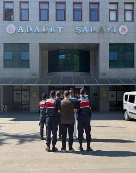 'İnsan ticareti' operasyonuna 6 gözaltı