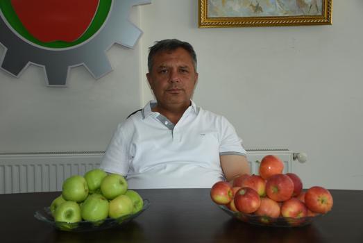 Niğde elması 12 ülkeye ihraç ediliyor