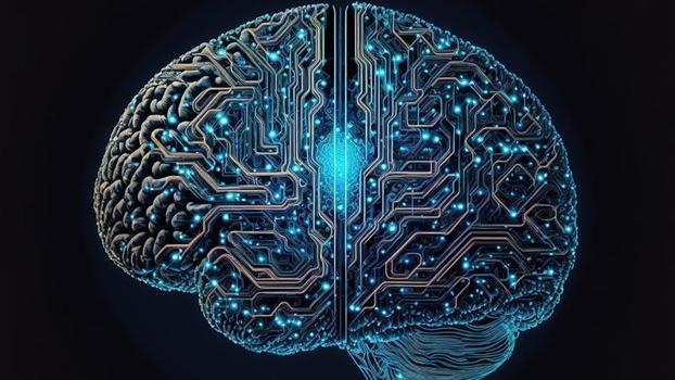 Araştırma: Bilim insanları kafatasının içinde gizlenen yeni bir organ keşfetti