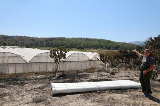 Seydikemer’de yangının yaraları sarılmaya başlandı