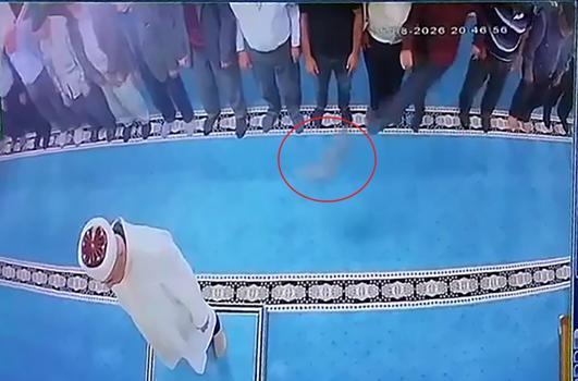 Camide kediye tekme atan kişi gözaltına alındı
