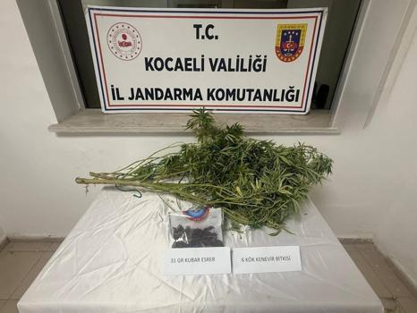 Uyuşturucu operasyonunda 2 gözaltı