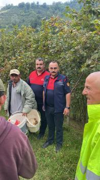 Ordu'da kayıp kişi için arama çalışması başlatıldı (2)