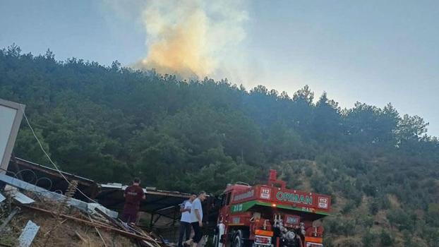 Hatay'da orman yangını