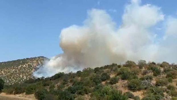 Balıkesir'de orman yangını