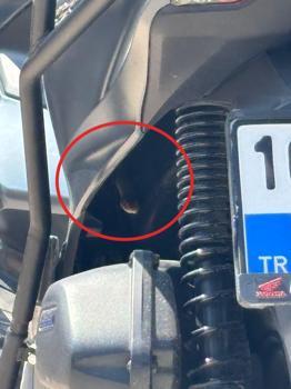 Motosiklete giren yılan korkuttu