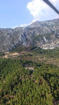 Antalya'da orman yangını (2)