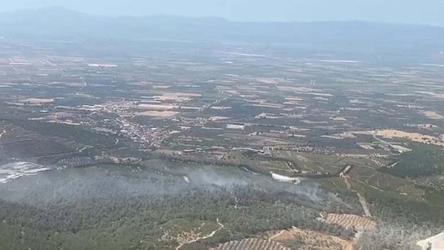 Manisa'da orman yangını