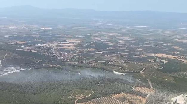 Manisa'da orman yangını