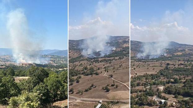 Bursa’da orman yangını