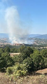 Bursa’da orman yangını