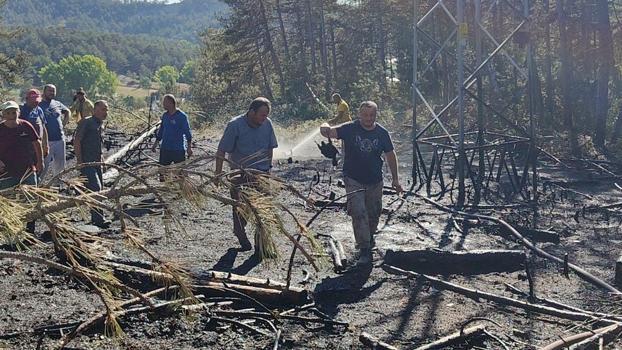 Yüksek gerilim hattında akıma kapılan kuş, orman yangınına neden oldu