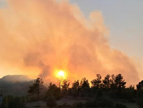 Antalya Serik’te orman yangını (2)