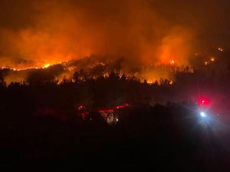 Antalya Serik'te orman yangını: 1 işçi dumandan etkilendi (3)