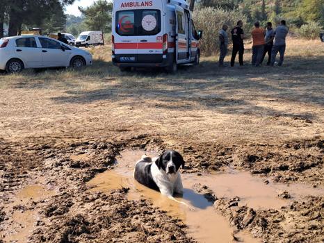 Antalya Serik'teki orman yangını kısmen kontrol altında (3)