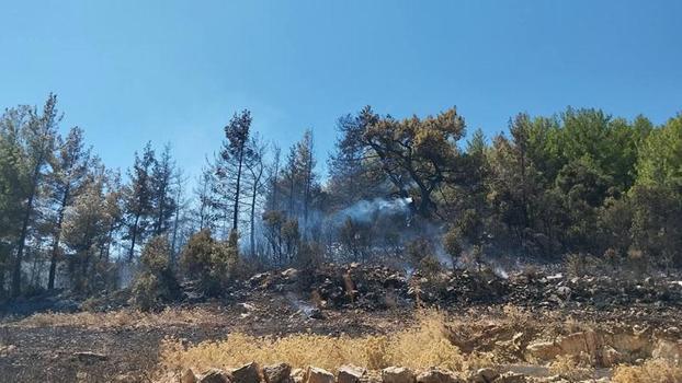 Burdur'da orman yangını