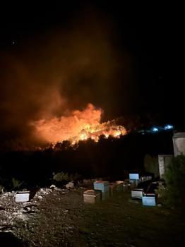 Kozan'da 2 ayrı noktada orman yangını; yerleşim yerleri tedbir amaçlı boşaltıldı