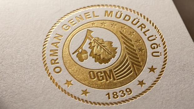 OGM: 4 orman yangını kontrol altına alındı