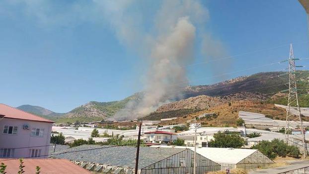 Mersin’de orman yangını