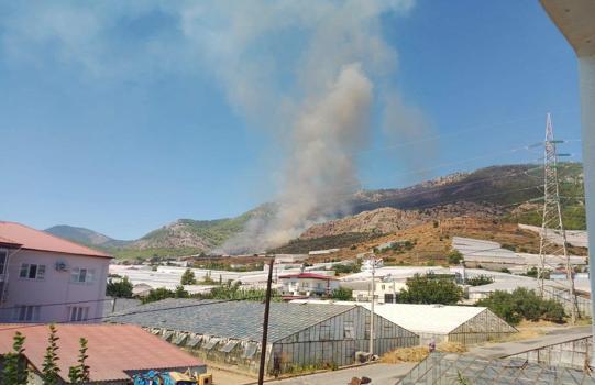 Mersin’de orman yangını