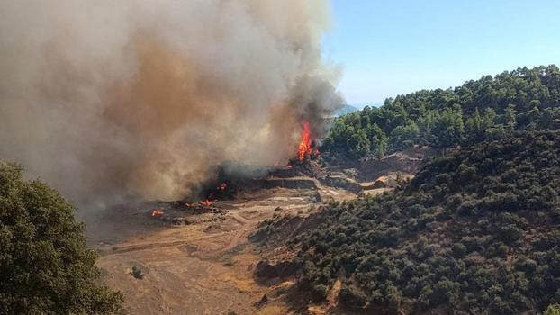Antalya Kumluca'da orman yangını