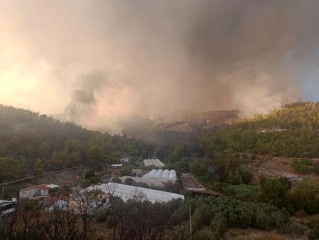 Antalya Kumluca'da orman yangını (3)
