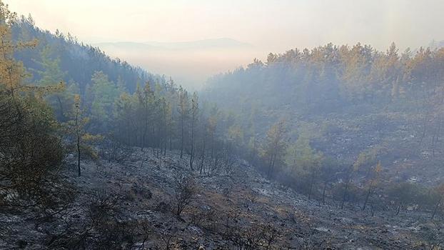 Antalya Kumluca'daki orman yangınının enerjisi düşürüldü