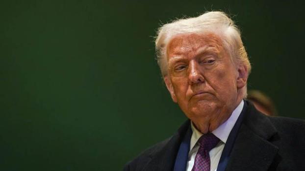 Trump: AfD'nin Almanya'daki yükselişi sürüyor